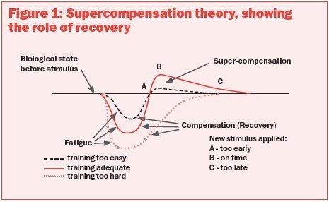 Supercompensation theory